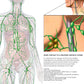 EELHOE Neck Lymphatic Patch Unblocks Lymph, Boosts Immunity, Improves Sleep